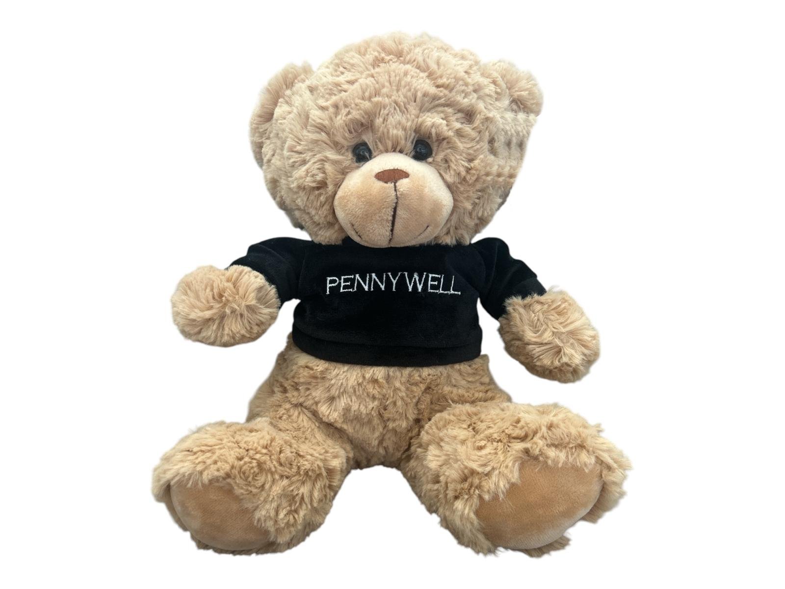 25Cm Plush Bear With Jumper